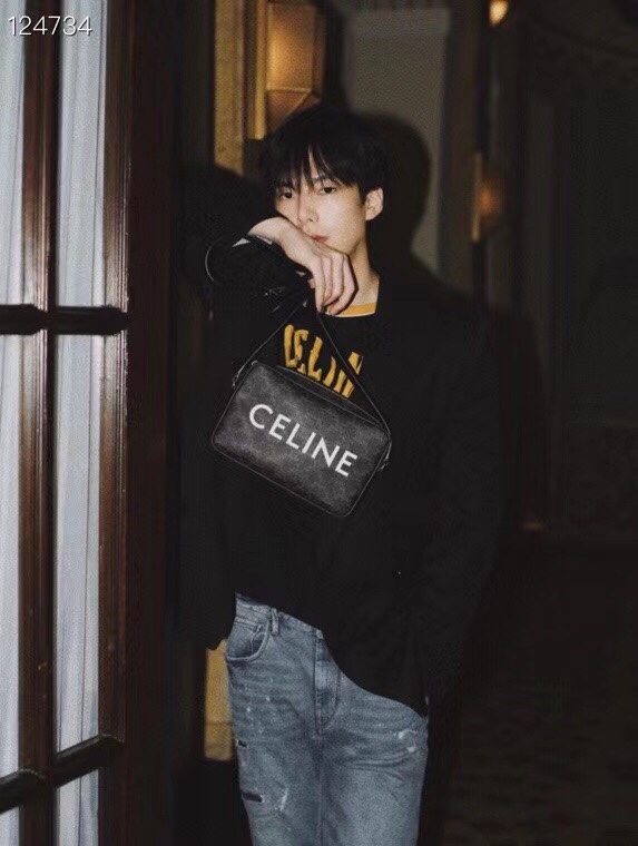 Celine Triomphe Bags